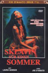 Sklavin für einen Sommer (Große Hartbox) (1985) [FSK 18] [Gebraucht - Zustand (Sehr Gut)] 