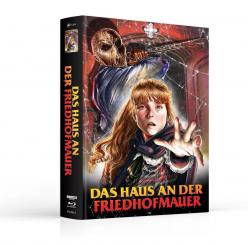 Das Haus an der Friedhofmauer (Limited Mediabook, 4K Ultra HD+Blu-ray, Cover A) (1981) [FSK 18] [4K Ultra HD] 
