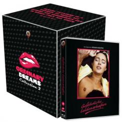 Gefährliche Leidenschaften (Ordinary Dreams Collection Nr. 11 inkl. Sammelschuber) (1985) [FSK 18] [Blu-ray] 