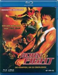 Born to Fight - Sie kämpfen um zu überleben (2004) [FSK 18] [Blu-ray] 