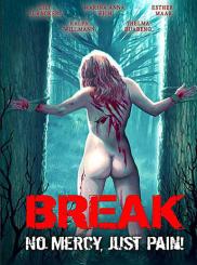 Break (Uncut Limited Mediabook, Blu-ray+2 DVDs, Cover C) (2009) [FSK 18] [Blu-ray] 