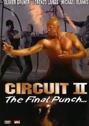 Circuit II - The Final Punch (2002) [FSK 18] [Gebraucht - Zustand (Sehr Gut)] 