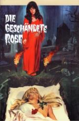 Die Geschändete Rose (Große Hartbox, Cover A) (1969) [FSK 18] 