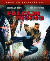Falcon Rising (Unrated Extended Cut, Mediabook, Blu-ray+DVD) (2014) [FSK 18] [Blu-ray] 