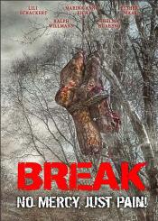 Break (Uncut Limited Mediabook, Blu-ray+2 DVDs, Cover D) (2009) [FSK 18] [Blu-ray] 