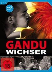 Gandu - Wichser (Special Edition) (2010) [FSK 18] [Blu-ray] 