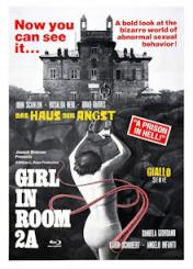 Das Haus der Angst (Limited Mediabook, Blu-ray+DVD, Cover D) (1974) [FSK 18] [Blu-ray] 