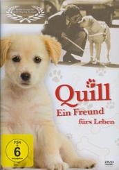 Quill - Ein Freund für's Leben (2004) 
