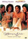 Waiting to Exhale - Warten auf Mr. Right (1995) 