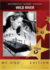 Wild River (1960) 