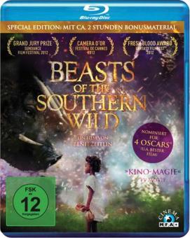 Beasts of the Southern Wild (2012) [Blu-ray] 