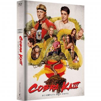 Cobra Kai (Limited Mediabook, Staffel 3, 2 Blu-ray's+2 DVDs, Cover A) (2018) [Blu-ray] 