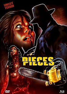 Pieces - Stunden des Wahnsinns (Limited Mediabook, Blu-ray+DVD, Cover C) (1982) [FSK 18] [Blu-ray] 