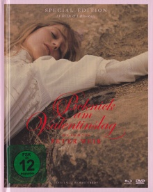 Picknick am Valentinstag (3 DVDs Special Edition + Blu-ray) (1975) [Blu-ray] 