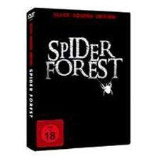 Spider Forest - Wald der verlorenen Seelen (2004) [FSK 18] 