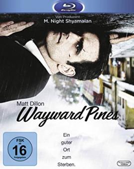 Wayward Pines - Season 1 (2 Discs) [Blu-ray] [Gebraucht - Zustand (Sehr Gut)] 