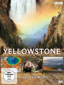 Yellowstone - Legendäre Wildnis (2 DVDs) 